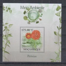 E553. Mozambique - MNH - 2010 - Nature - Flora - Flowers - Peonias - Bl