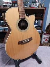Takamine G260C