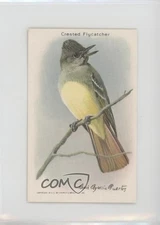 1938 Arm & Hammer Useful Birds of America Series 10 Crested Flycatcher #3 d8k