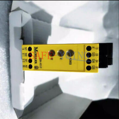 1PC NEW   ESR4-NO-21 24VAC /   Relay ESR4NO21 #T9