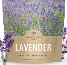 Lavender - Large 1/4 Ounce Packet - 7,000 Flower Seeds for Ounce, Purple