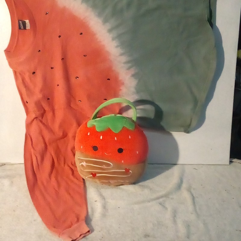 Watermelon Themed Lot With Watermelon Shirt + Squishmallow Watermelon Handbag🍉