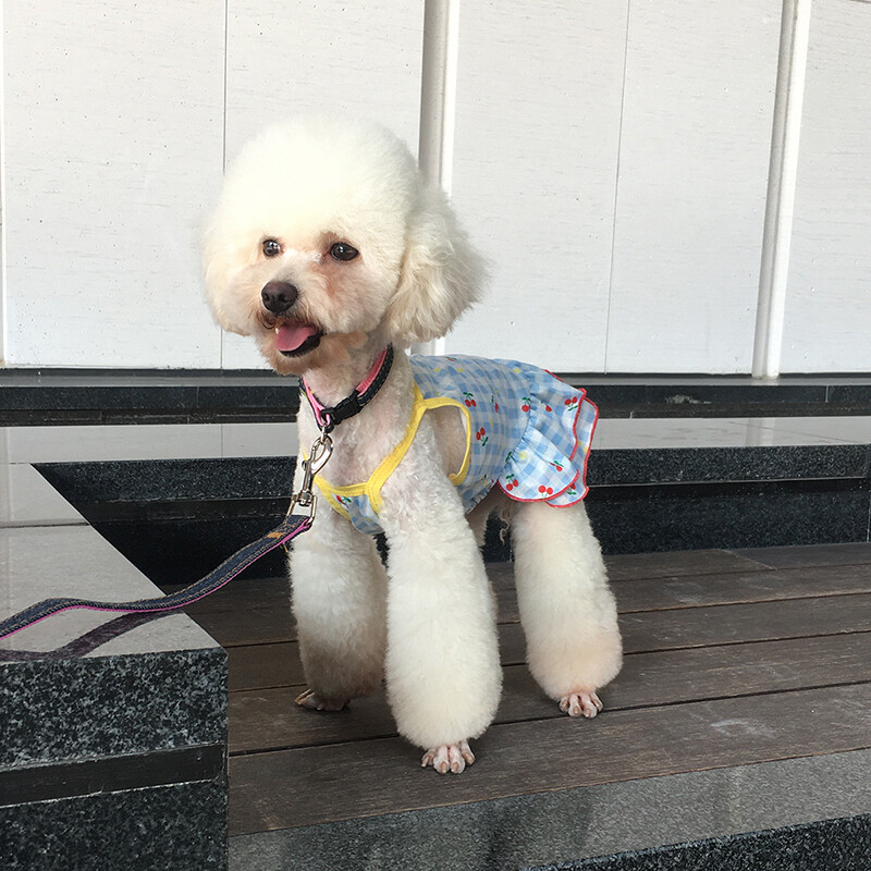 Cute Dog Skirt Pet Dress Fruit Printed Sling Skirt Sweet Cat Small Dog