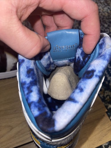 chunky dunky jordans