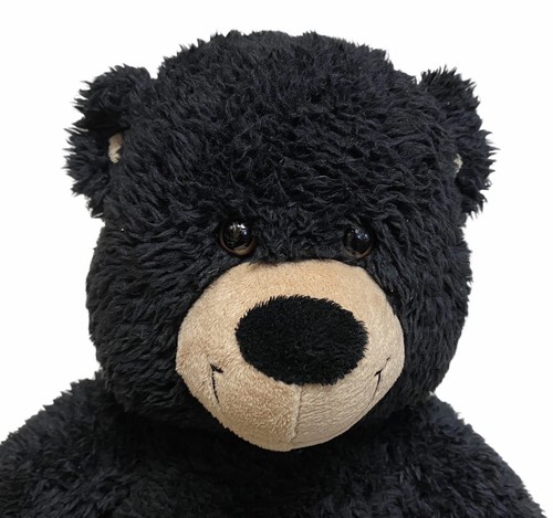 midnight teddy build a bear
