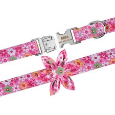 Female Dog Collars with Leash for sale