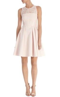 Karen Millen Pale Pink Lace Bodice Skater Dress 12 | eBay