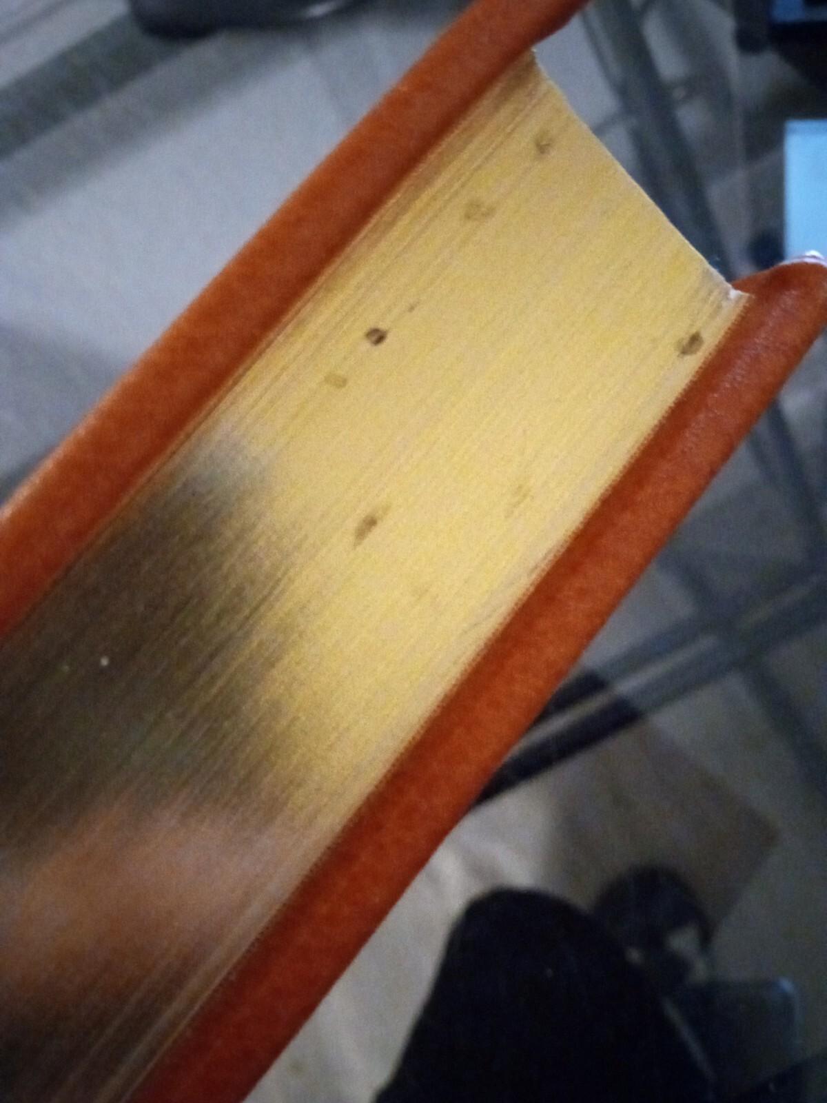 Picture 5 of 6