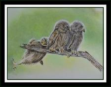 A Little Help? Original Colored Pencil Artwork, 9x11.5, Baby Owls, Humor