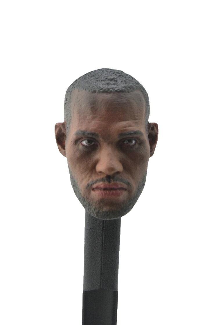 lebron james head ebay