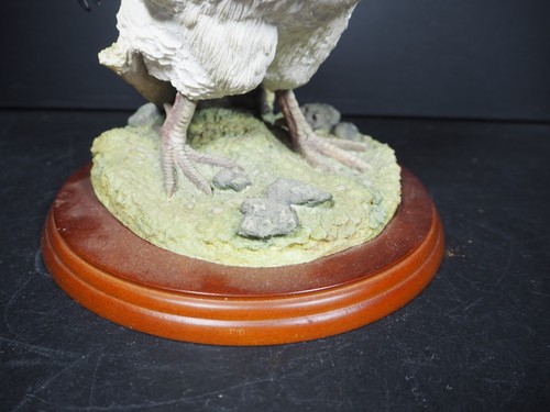 Large Border Fine Arts Studio Birds by Russell Willis White Cockerel 739448 - Picture 7 of 15