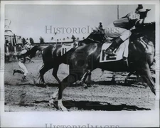 1960 Press Photo Gulfstream Park races at Hallandale Florida - net33659
