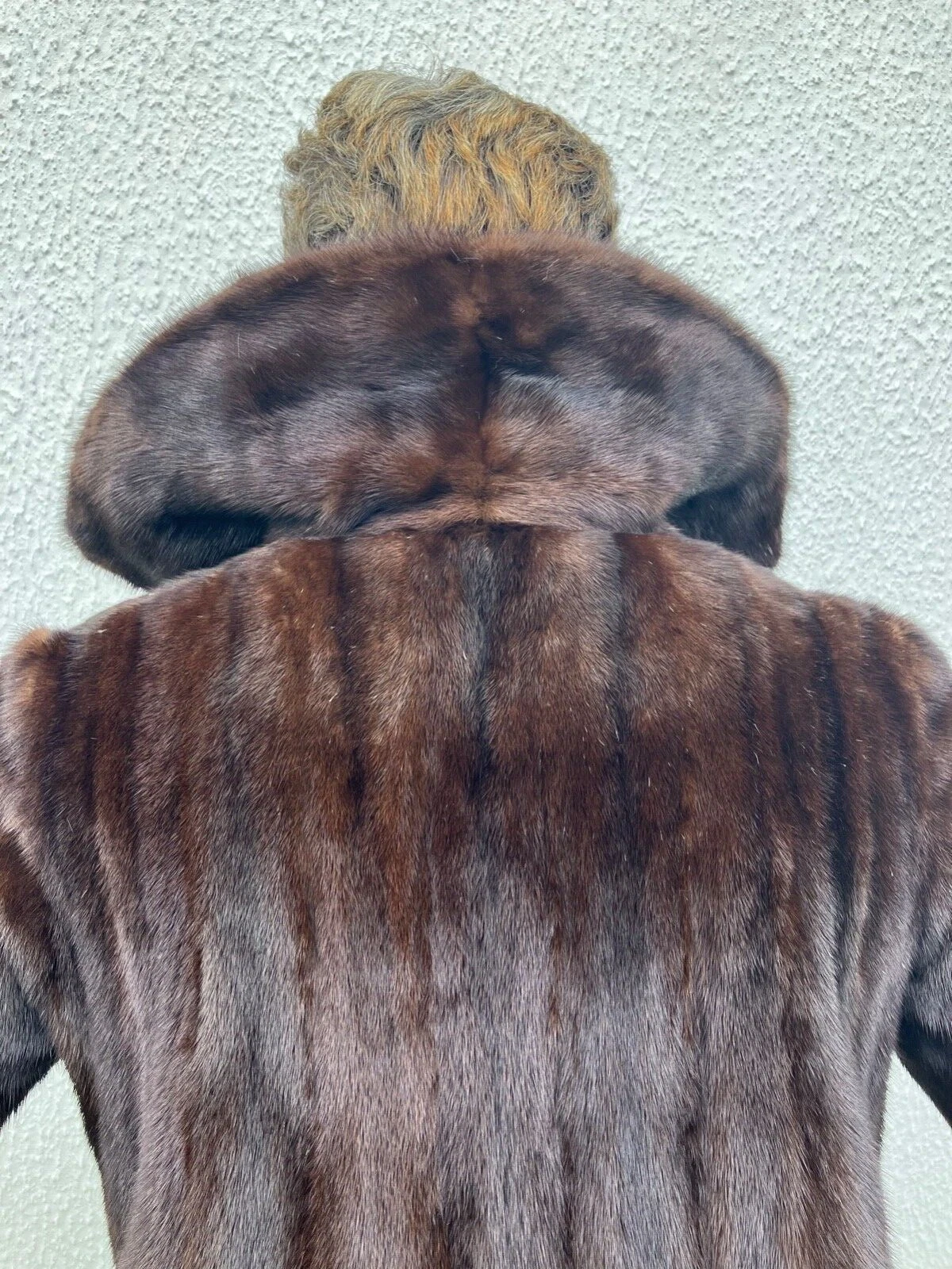 Picture 7 of 11