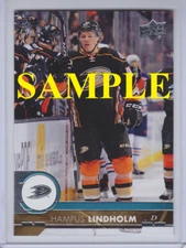 2017-18 UPPER DECK SERIES 1 TEAM SETS, YOUNG GUNS RC, & INSERTS - Choose