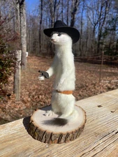 Taxidermy, Gunslinger Stoat or Long-tailed weasel=Cowboy Ermine, lifesize mount