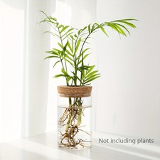 Desktop Hydroponic Glass Plant Propagation Station 6.5x10cm Bud Vase