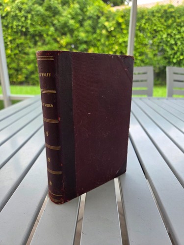 L'AGE D'AIMER BY PIERRE WOLFF 1905 LEATHER - Picture 1 of 3