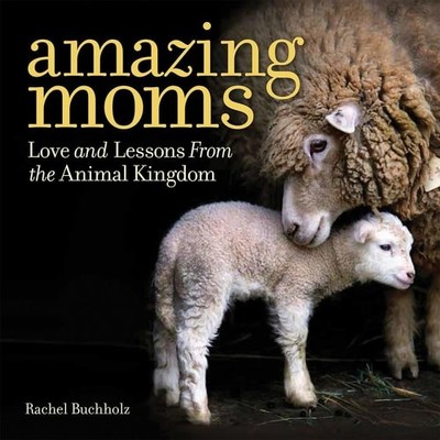 Amazing Moms: Love and Lessons From the Animal Kingdom, Buchholz, Rachel, Good B