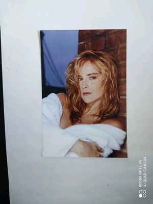 SHARON STONE : SCHÖNES FOTO..10 x 15 CM..FILMSTAR..BASIC INSTINCT..GLAMOUR. #1