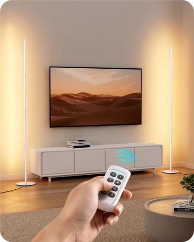 EDISHINE Modern Minimalist LED Floor Lamp,Dimmable Corner Floor Lamp,Set of 2