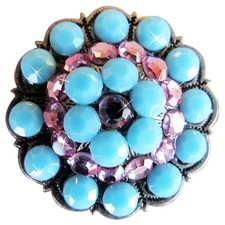 C-TY02 Set Of 2 Western Screw Back Concho Turquoise Crystal Horse Saddle Belt