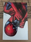 The Amazing Spider-Man #1 Mico Suayan C2E2 2025 LTD 500