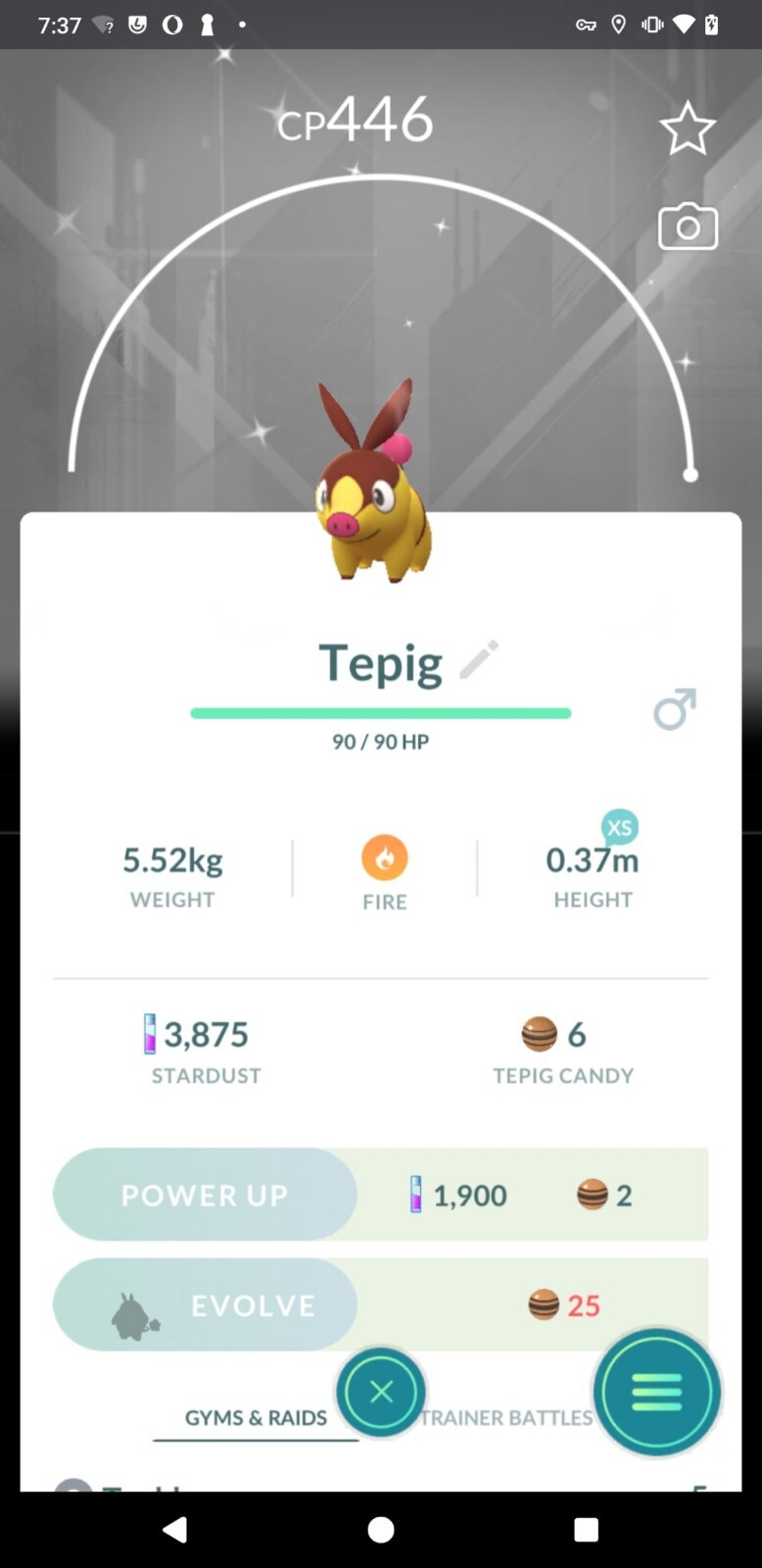 Shiny Tepig white version background - MlNl P T C - Read Description