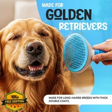 Golden Retriever Dog Brush Shedding Dematting Long Coat