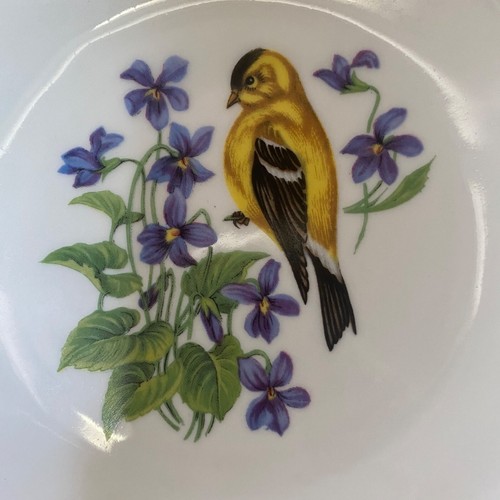 Vintage Bavarian Schumann Arzberg Germany American Goldfinch w/Larkspur Flowers - Picture 14 of 15
