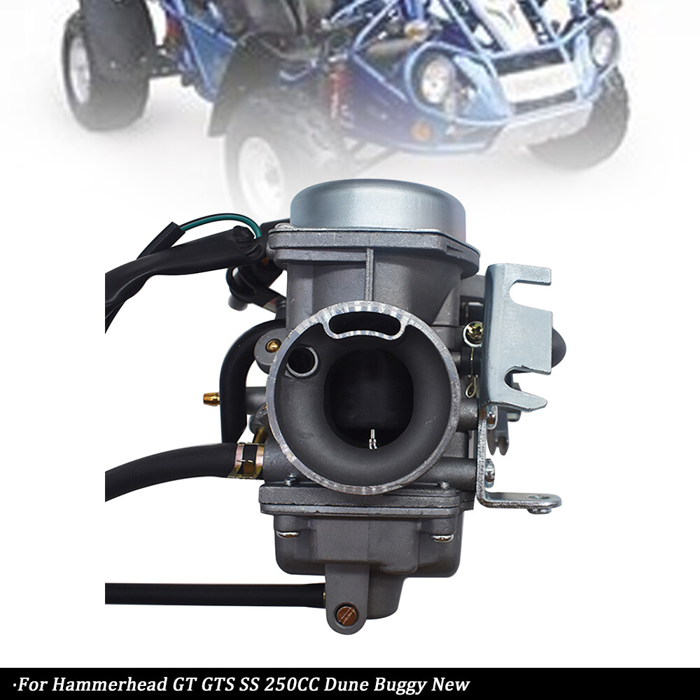 250CC Carburetor Carb Fit For Hammerhead GT GTS SS 250CC Dune
