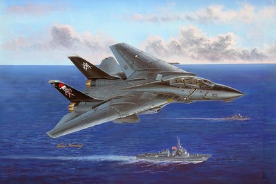 HobbyBoss 80367 1/48 F14B Tomcat