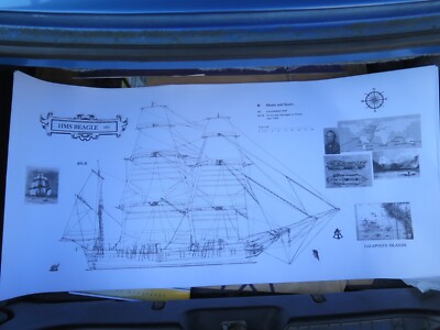 HMS BEAGLE LINE DRAWING - DARWIN'S VOYAGE