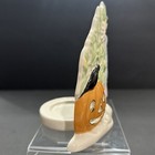 Picture 4 of 6