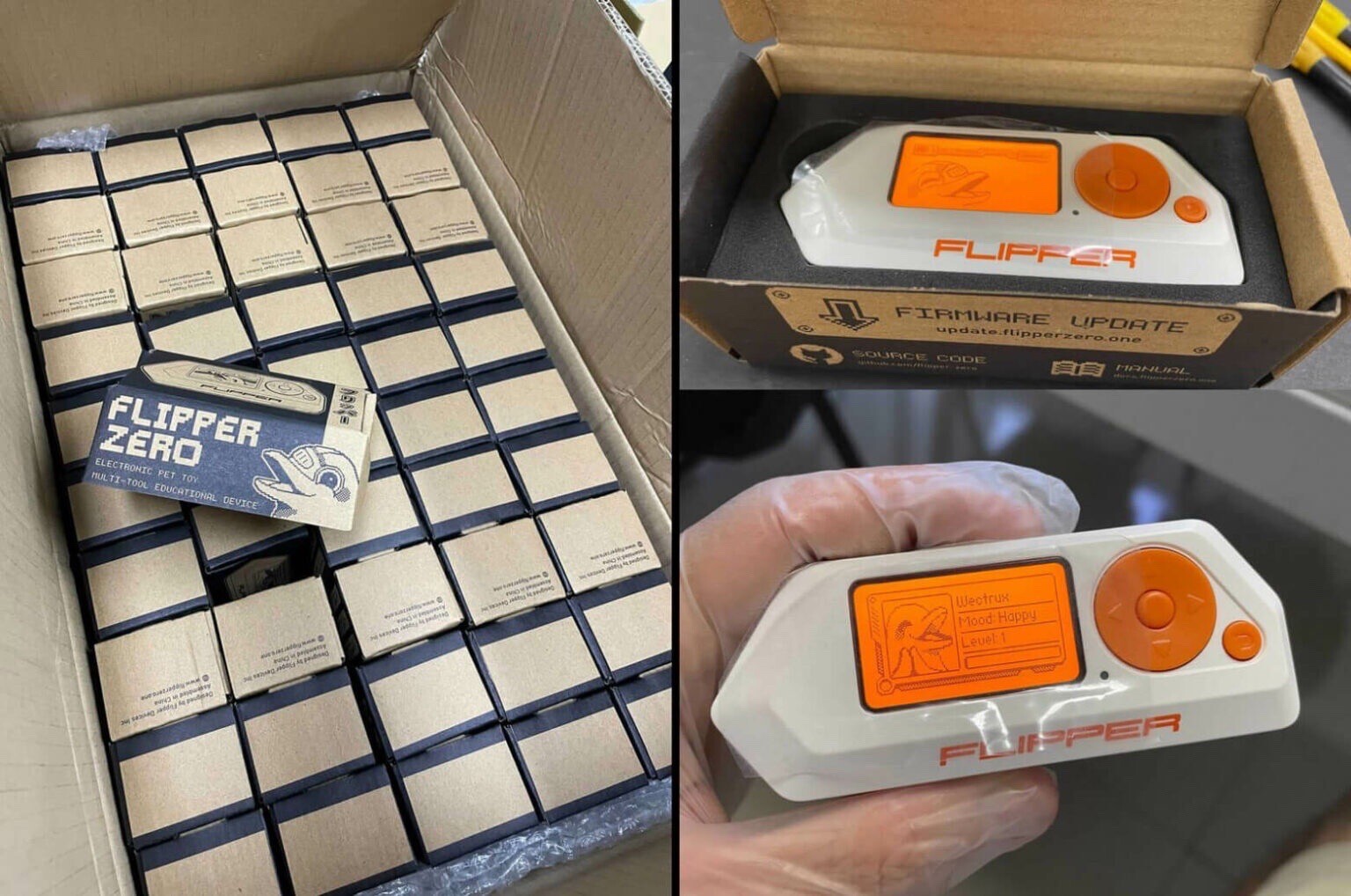 Flippers Zeros Electronic Pet Toy MultiTool Educational Device