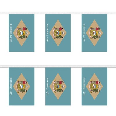 Flagtex Delaware rechteckige Wimpelkette