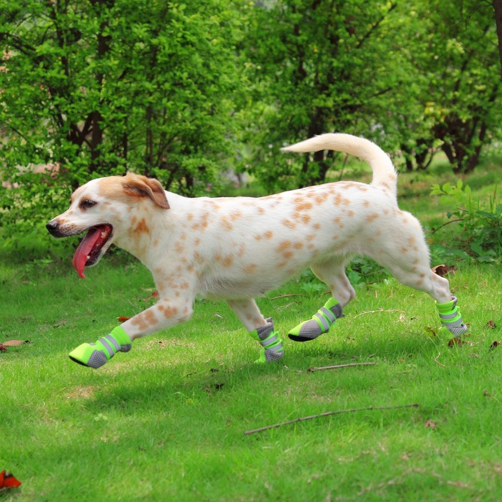 SAOLA Scarpe per cani di piccola taglia estive in rete traspirante suola antiscivolo stivali per cani taglia S (verde)