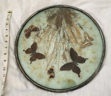 Vintage Sterling Silver 637 Framed Butterfly Glass Display Tray 14" Decor