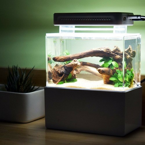 1L Mini Aquarium Komplett set Dekoration mit LED Beleuchtung Pumpe & Filter - Bild 5 von 24