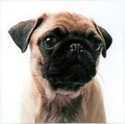 Bild 8 von 9