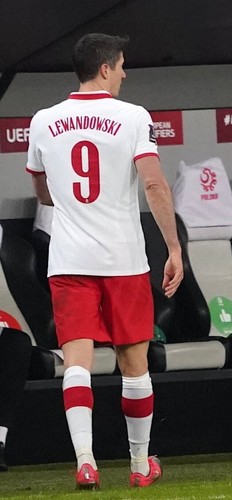 Robert Lewandowski Authentic Polska jersey Euro Cup Official 2020 New with tags! - Picture 2 of 15