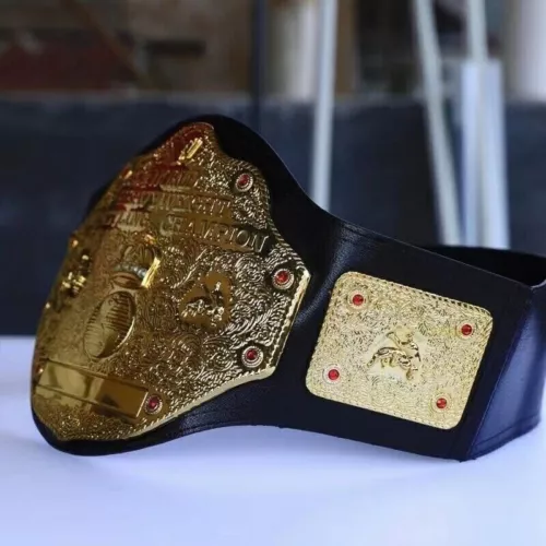 Replica Model World Heavyweight Big Gold Championship Wrestler Champion wwe Belt - Picture 6 of 10