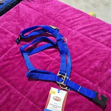 NEW Weaver Leather Basic Non-Adjustable Nylon Horse Halter 1" BLUE AVERAGE