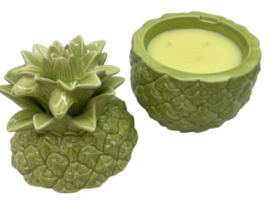Harry Slatkin Light Green Pineapple 3 Wick 40Hrs 14oz Wild Meadow Homeworx 