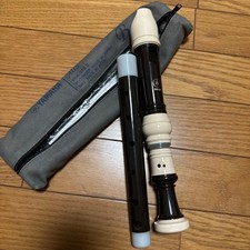 Yamaha YRS-402B Alto Recorder Case