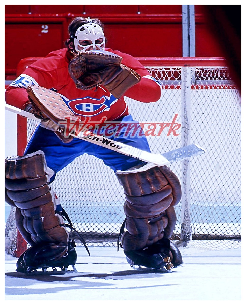 Montreal Canadiens Goalie Ken Dryden Pretzel Mask Color 8 X 10