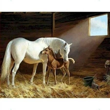 Paint By Numbers Adults kids White Horse Animal DIY Painting Kit 40x50CM Canvas