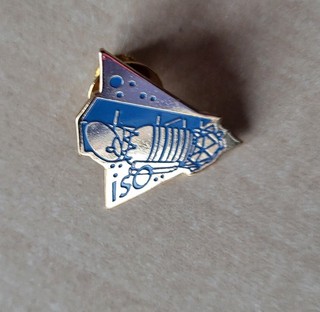 Aerospatiale ESA Satellite Space Exploration pin badge