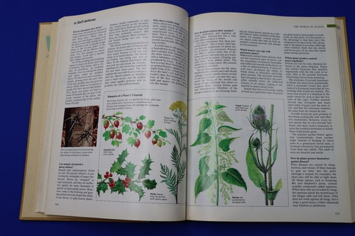 Vintage 1984 ABC's of Nature from The Readers Digest Association Hardcover Book - Picture 3 of 5