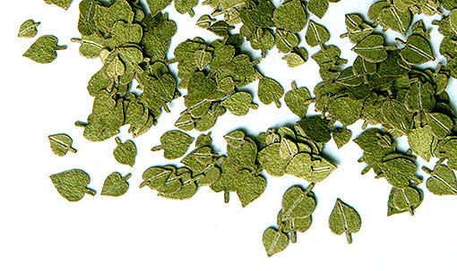 Plus Model 254 - 1:35 Accessories Green Linden Leaves