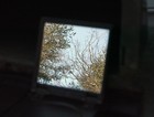 Bild 3 von 13